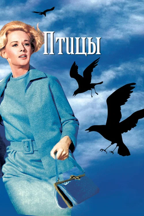 Птицы