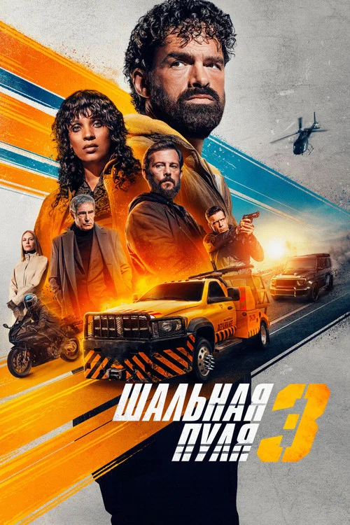 Шальная пуля 3